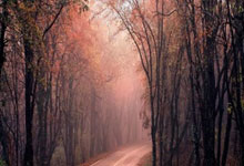 匈牙利国家队出色发挥，实现欧锦赛晋级