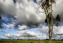 英格兰队成功晋级欧洲冠军联赛半决赛！