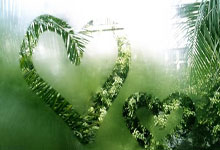 匈牙利国家队出色发挥，实现欧锦赛晋级