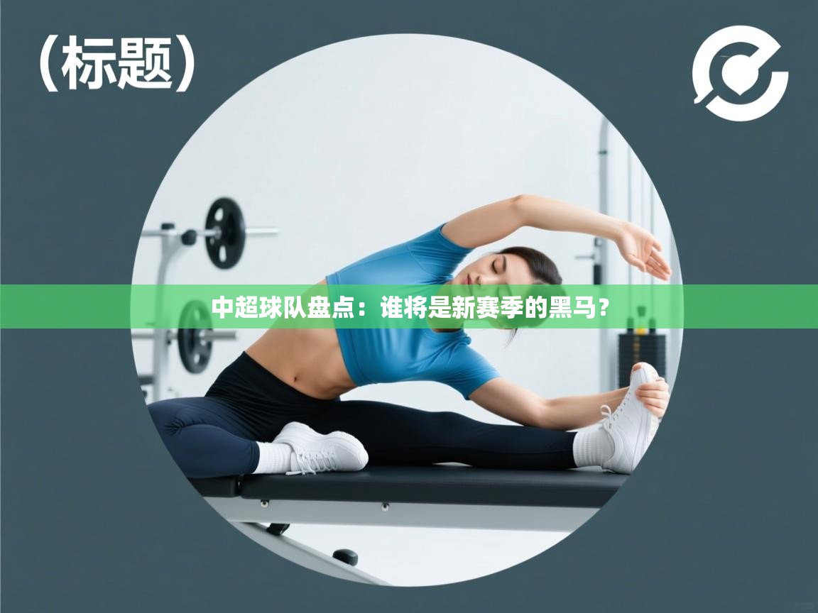 中超球队盘点：谁将是新赛季的黑马？  第1张