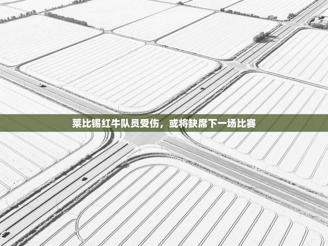 莱比锡红牛队员受伤,或将缺席下一场比赛 第1张