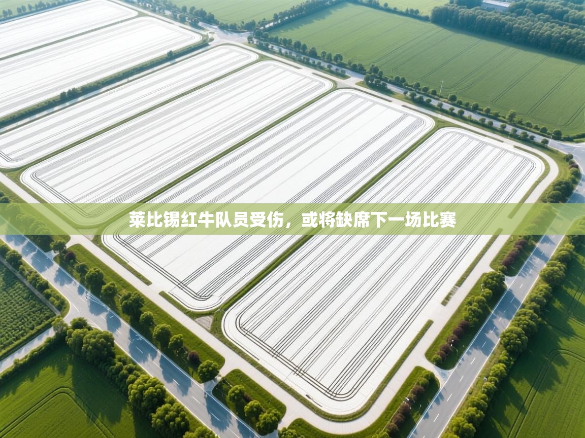 莱比锡红牛队员受伤,或将缺席下一场比赛 第2张