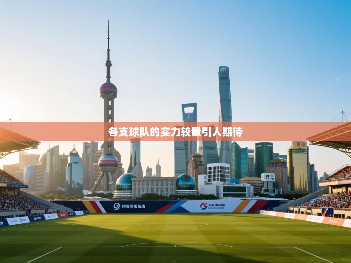 各支球队的实力较量引人期待  第1张