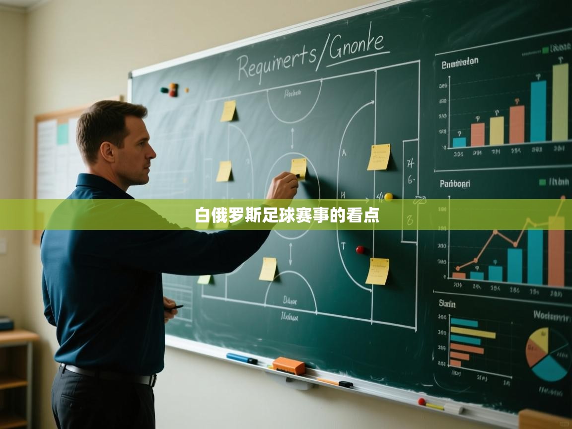 白俄罗斯足球赛事的看点 第1张