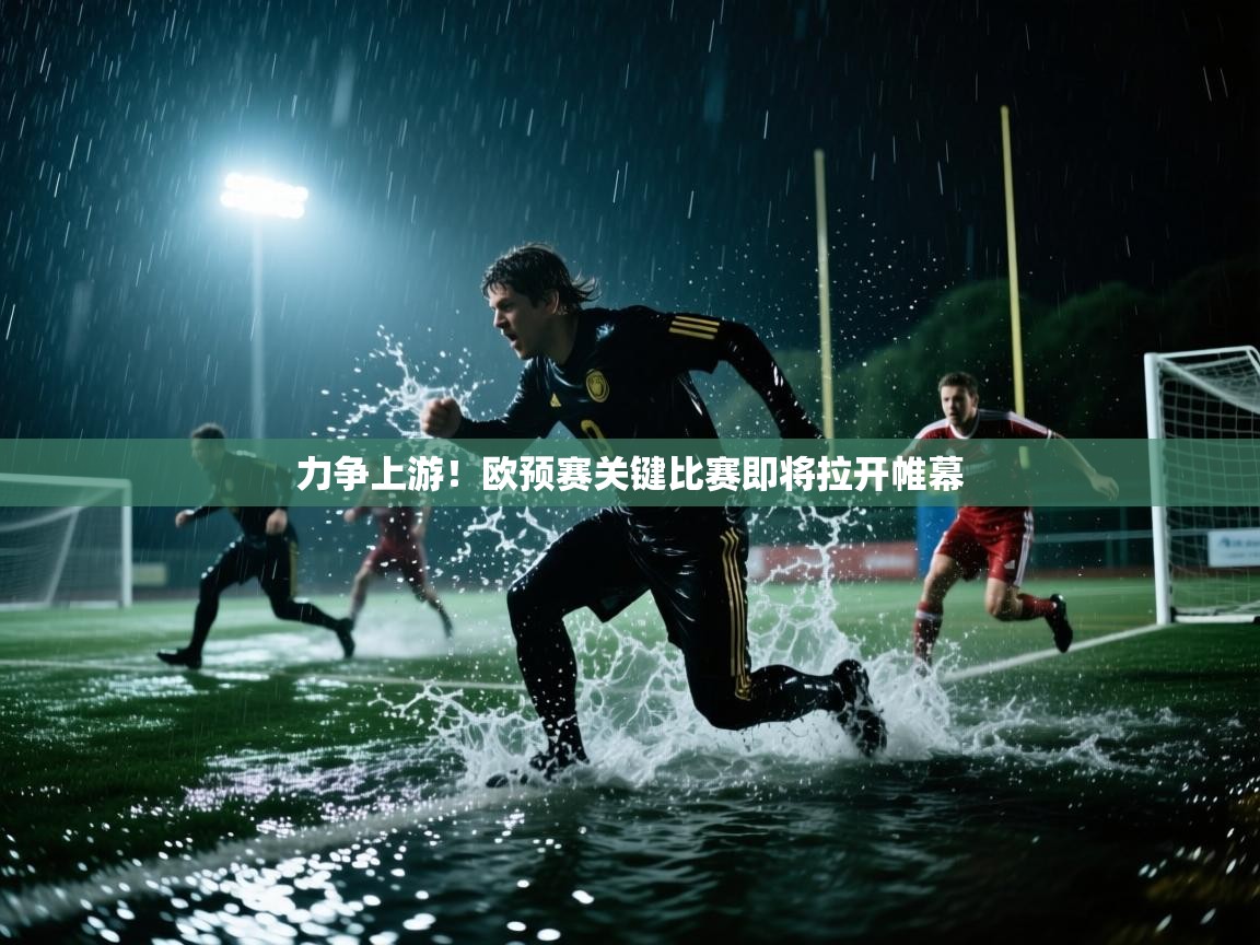 力争上游！欧预赛关键比赛即将拉开帷幕  第2张