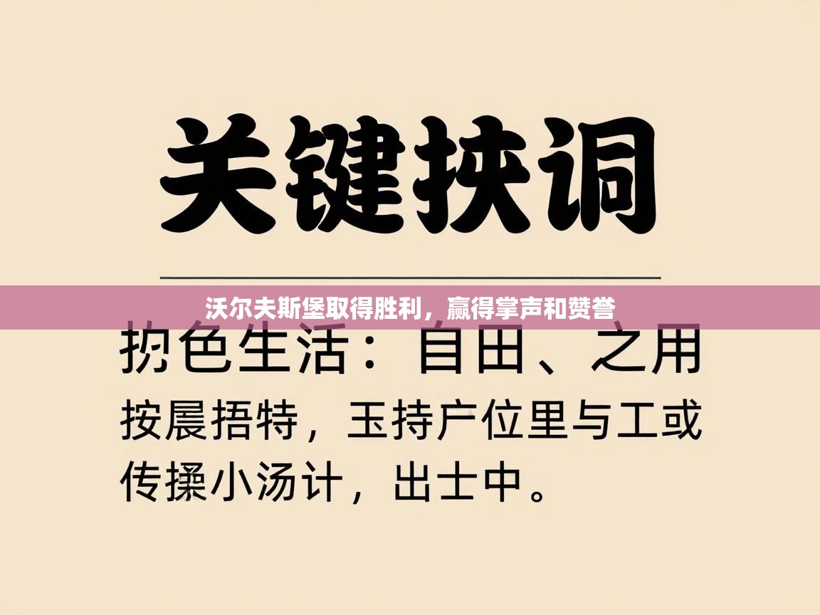 沃尔夫斯堡取得胜利，赢得掌声和赞誉  第1张