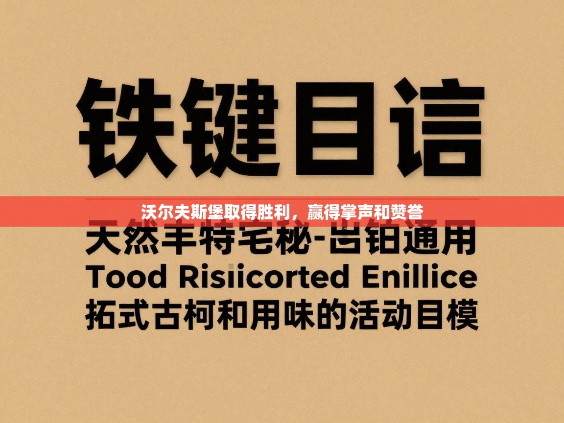 沃尔夫斯堡取得胜利，赢得掌声和赞誉  第2张