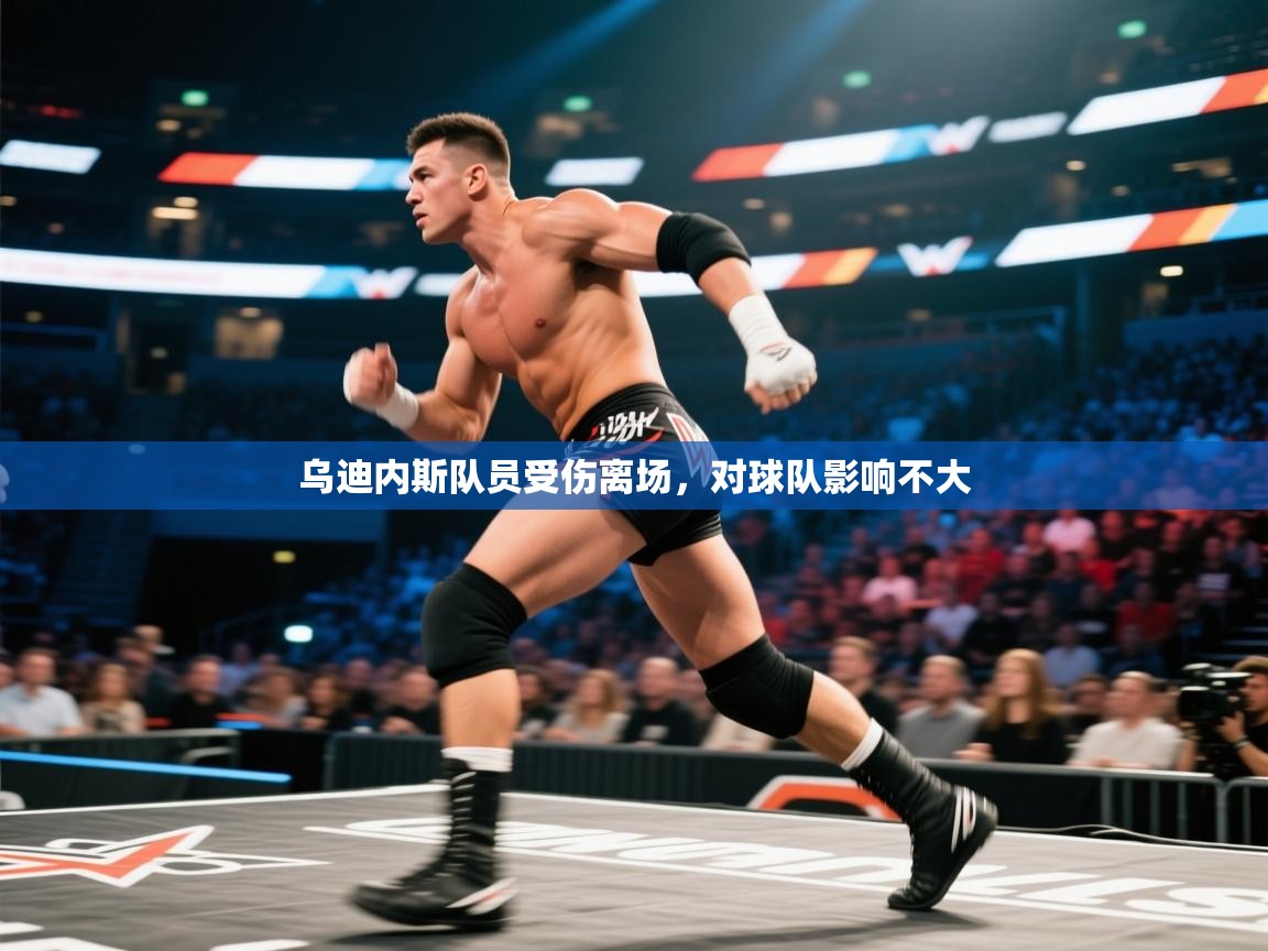 乌迪内斯队员受伤离场，对球队影响不大